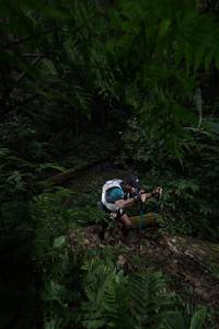 BIB: 
                            <button type="button" onclick="openModal(16029777)" class="btn btn-primary btn-sm float-right btn-popup" data-toggle="modal" data-target=".modal-high-quality">
                        <i class="fas fa-shopping-cart"></i> Add to Cart
                    </button>
                                            <button type="button" onclick="isThisMe(16029777, true)" class="btn btn-success btn-sm float-right btn-popup btn-isme hidden" data-toggle="tooltip" data-placement="bottom" title="นี่คือรูปของคุณใช่ไหม คลิกที่นี่เพื่อเอาเข้าอัลบั้ม">
                        <i class="fas fa-plus"></i> Add to album
                    </button>
                    <button type="button" onclick="isThisMe(16029777, false)" class="btn btn-warning btn-sm float-right btn-popup btn-isnotme hidden">
                        <i class="fas fa-ban"></i> Remove from album
                    </button>